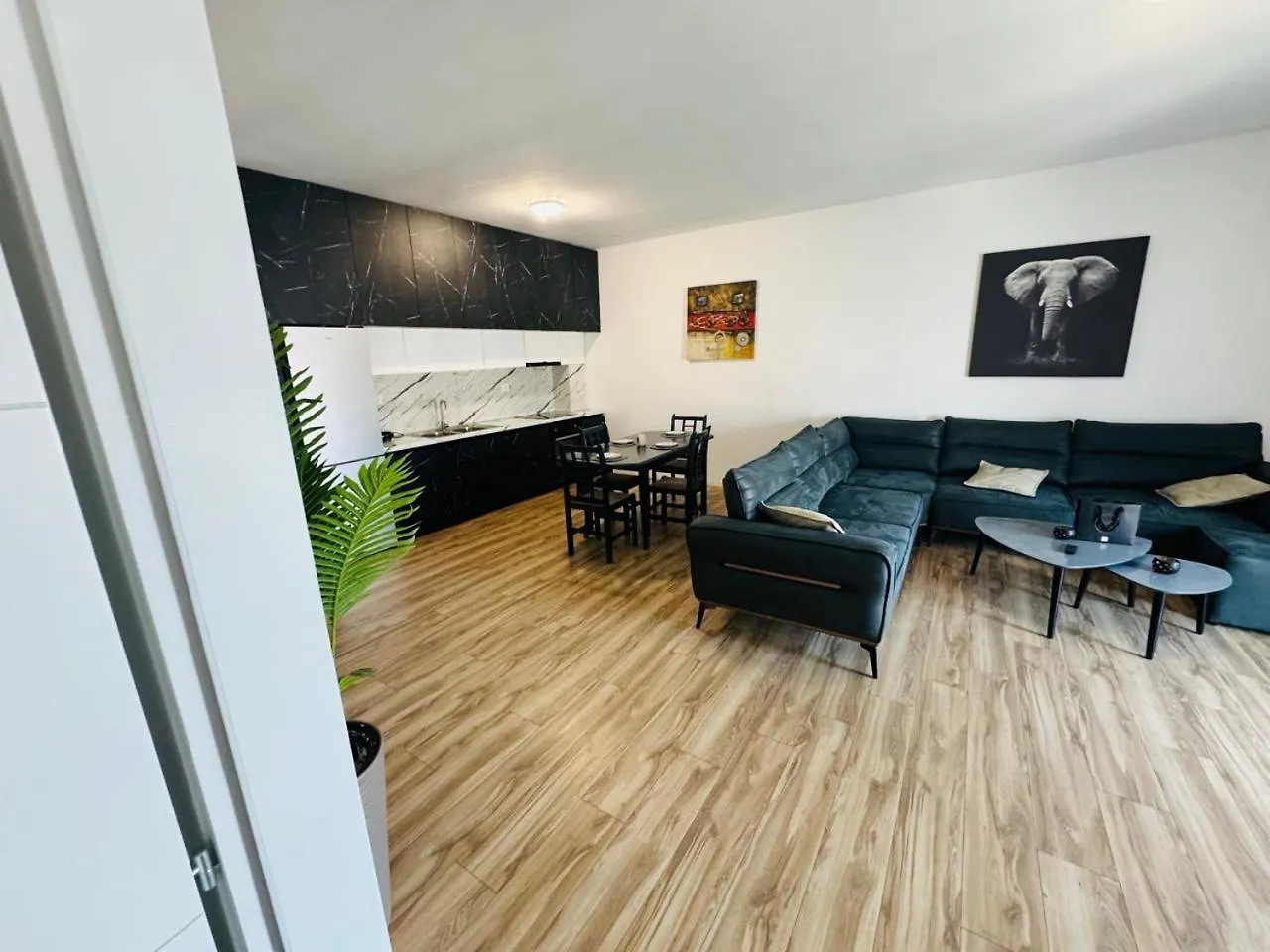 Apartamente Tirana 0*,  Albania